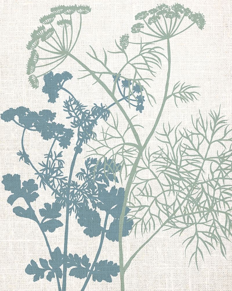 Linen Herbs 1 art print by Ann Bailey for $57.95 CAD