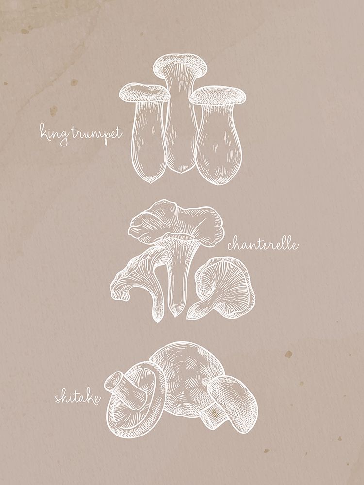 Mushrooms 1 art print by Ann Bailey for $57.95 CAD