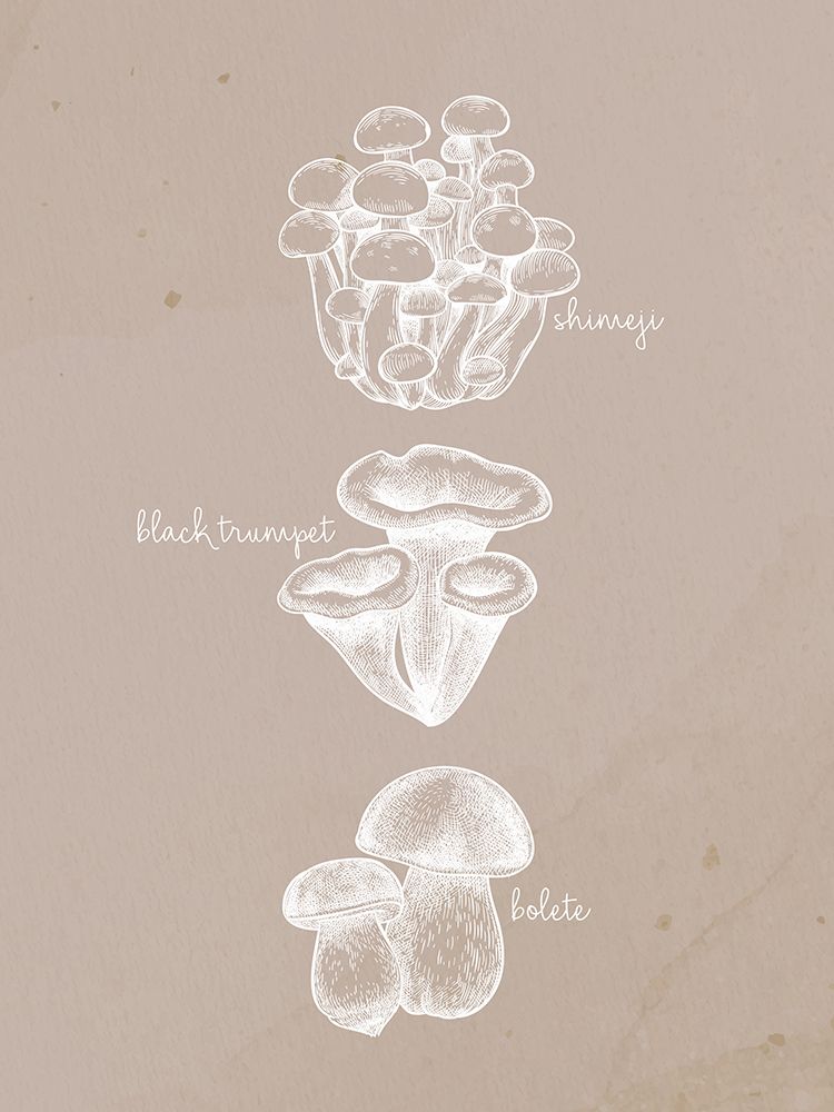 Mushrooms 2 art print by Ann Bailey for $57.95 CAD