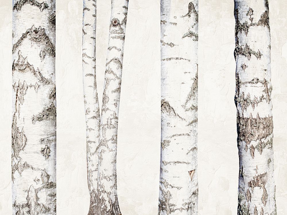 Birches art print by Ann Bailey for $57.95 CAD