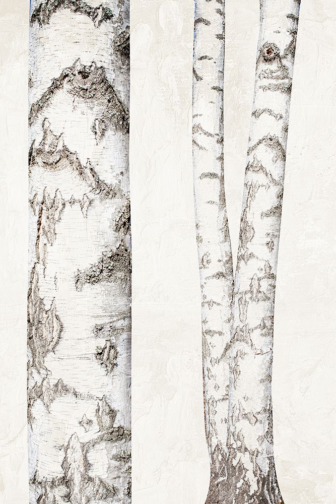 Birches 2 art print by Ann Bailey for $57.95 CAD