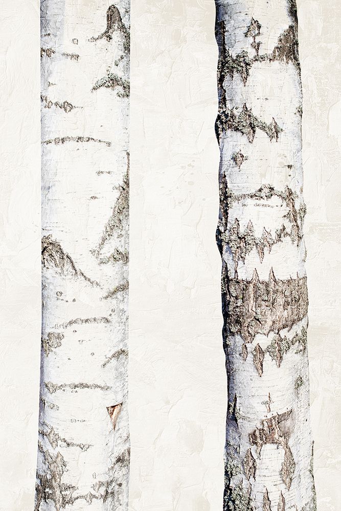 Birches 3 art print by Ann Bailey for $57.95 CAD