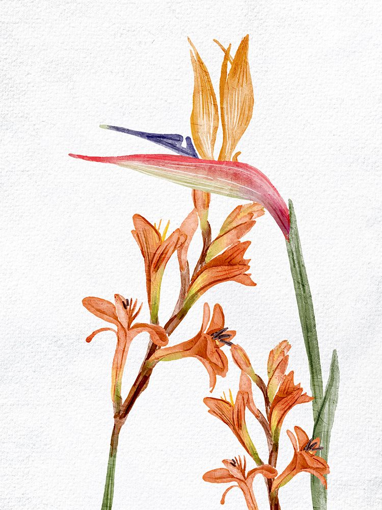Tropic Floral 1 art print by Ann Bailey for $57.95 CAD