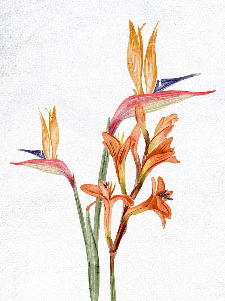 Tropic Floral 2 art print by Ann Bailey for $57.95 CAD