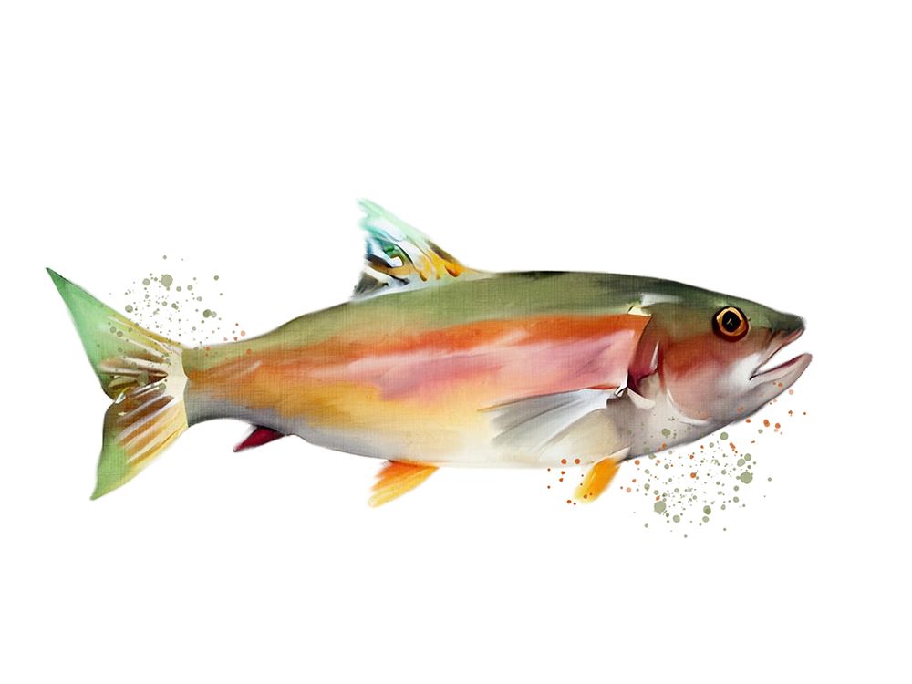 Trout 1 art print by Ann Bailey for $57.95 CAD