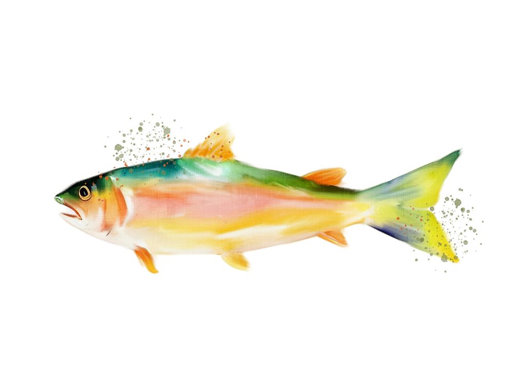 Trout 2 art print by Ann Bailey for $57.95 CAD
