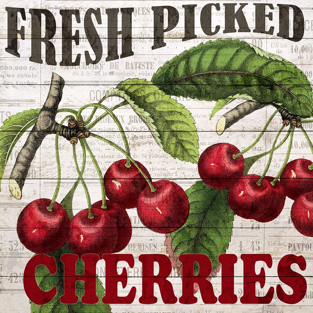 Fresh Picked Cherries art print by Ann Bailey for $57.95 CAD
