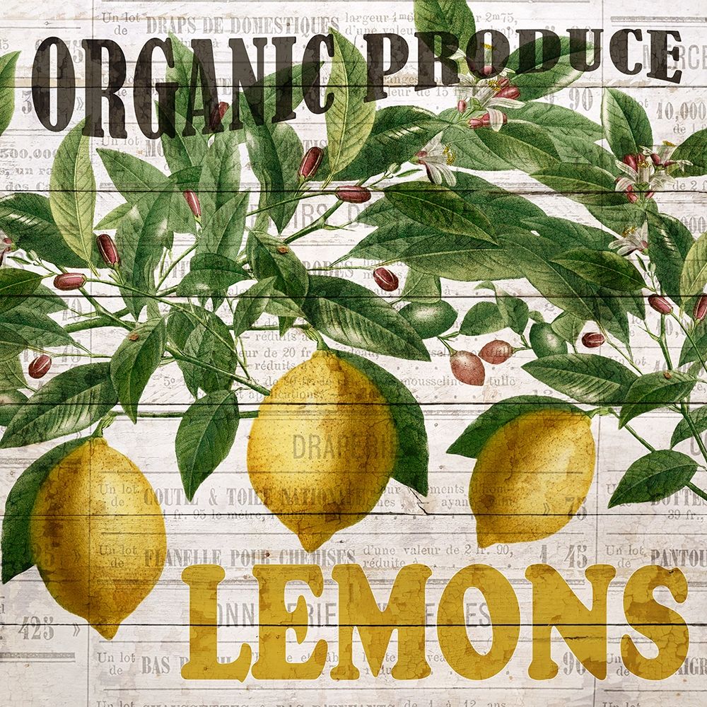 Fresh Picked Lemons art print by Ann Bailey for $57.95 CAD