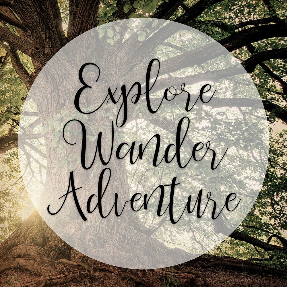 Explore Wander Adventure art print by Ann Bailey for $57.95 CAD