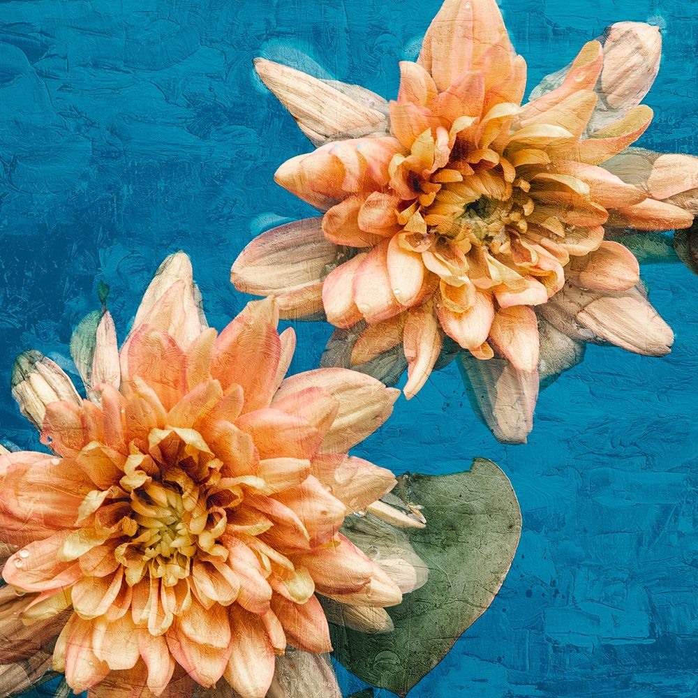 Orange Chrysanthemums art print by Ann Bailey for $57.95 CAD