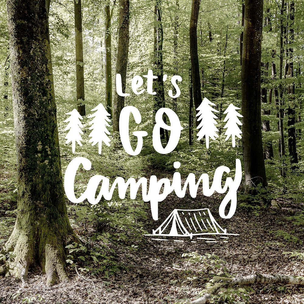 Lets Go Camping art print by Ann Bailey for $57.95 CAD