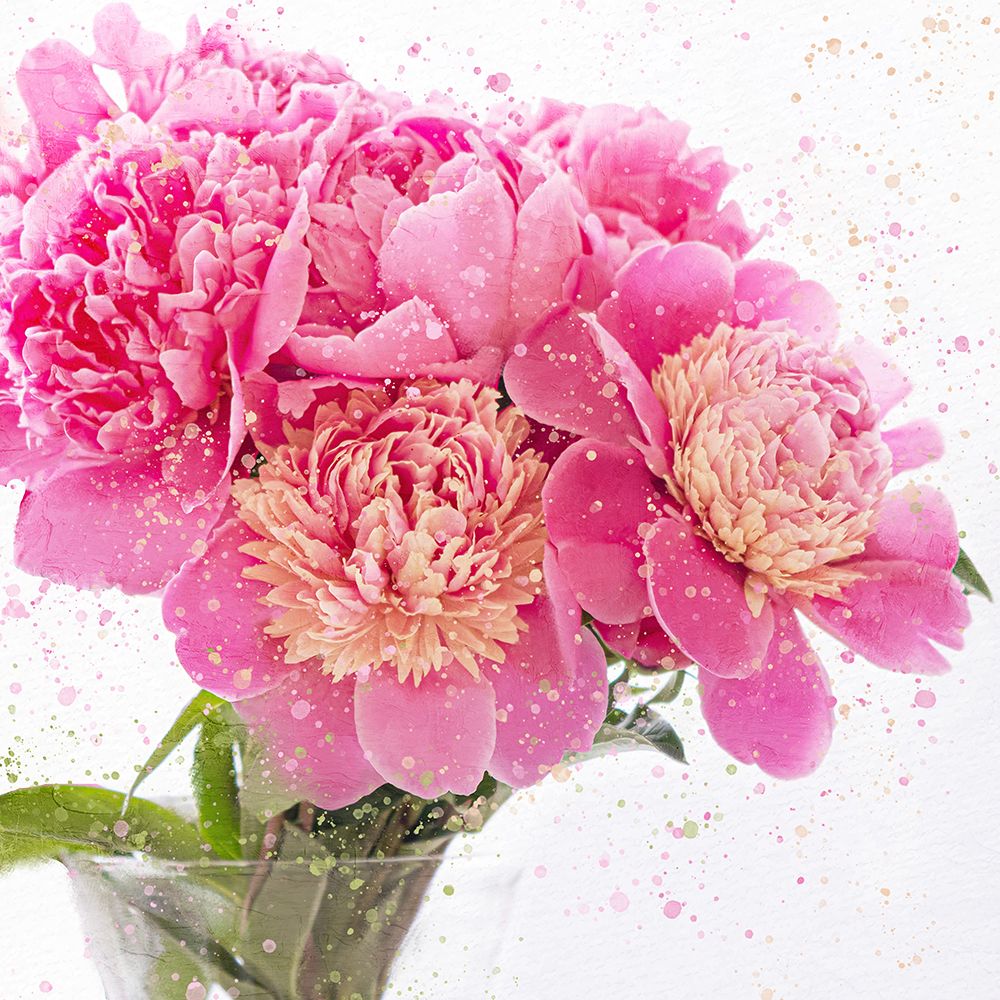 Peonies art print by Ann Bailey for $57.95 CAD
