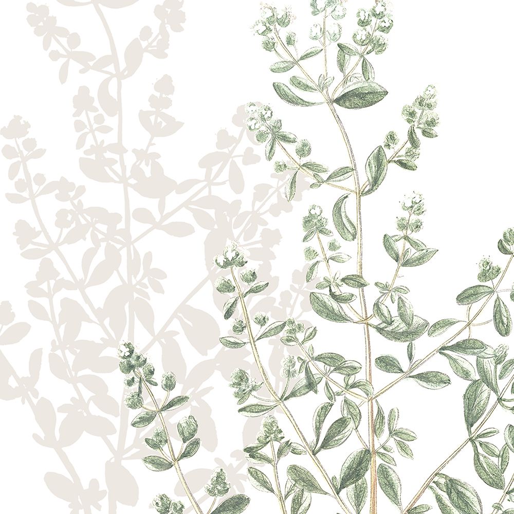 Botanical Sage And White 1 V2 art print by Ann Bailey for $57.95 CAD