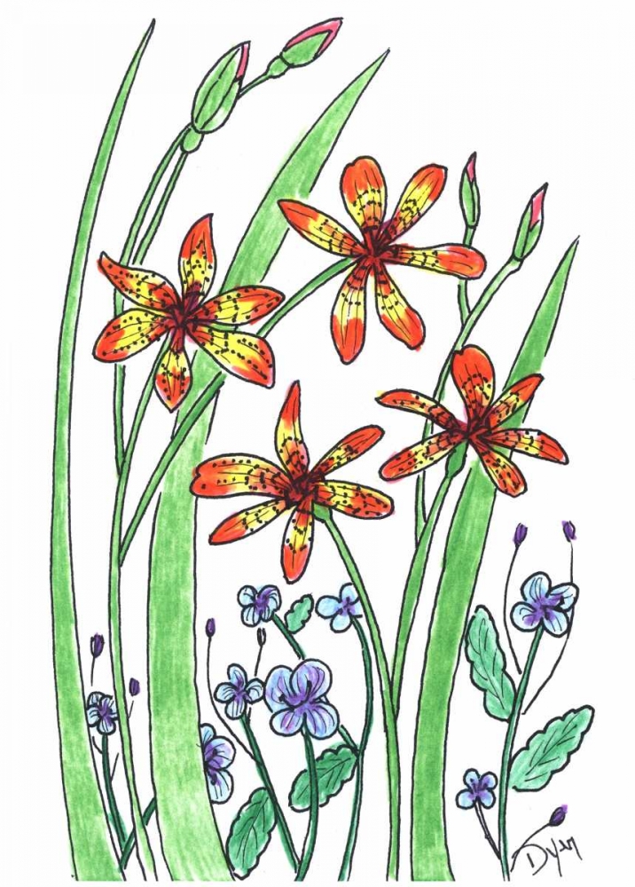 Blackberry Lily art print by Beverly Dyer for $57.95 CAD
