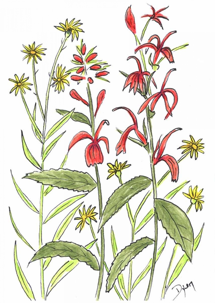 Cardinal Flower art print by Beverly Dyer for $57.95 CAD