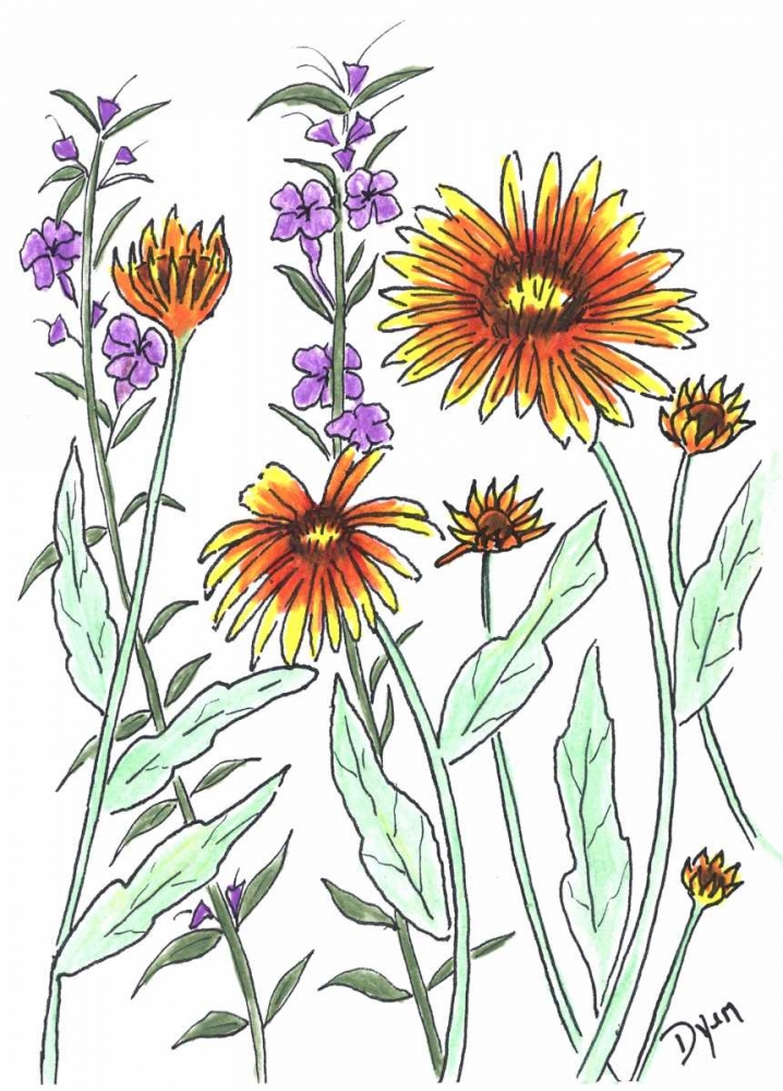 Common Blanket Flower art print by Beverly Dyer for $57.95 CAD