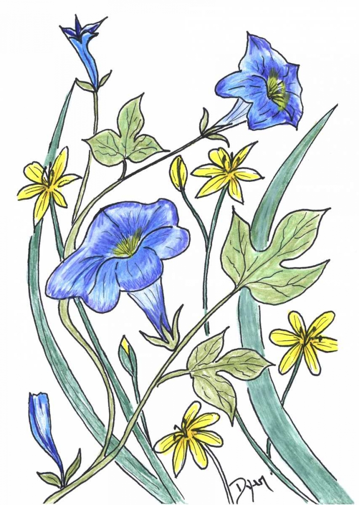Ivey Leaved Morning Glory art print by Beverly Dyer for $57.95 CAD