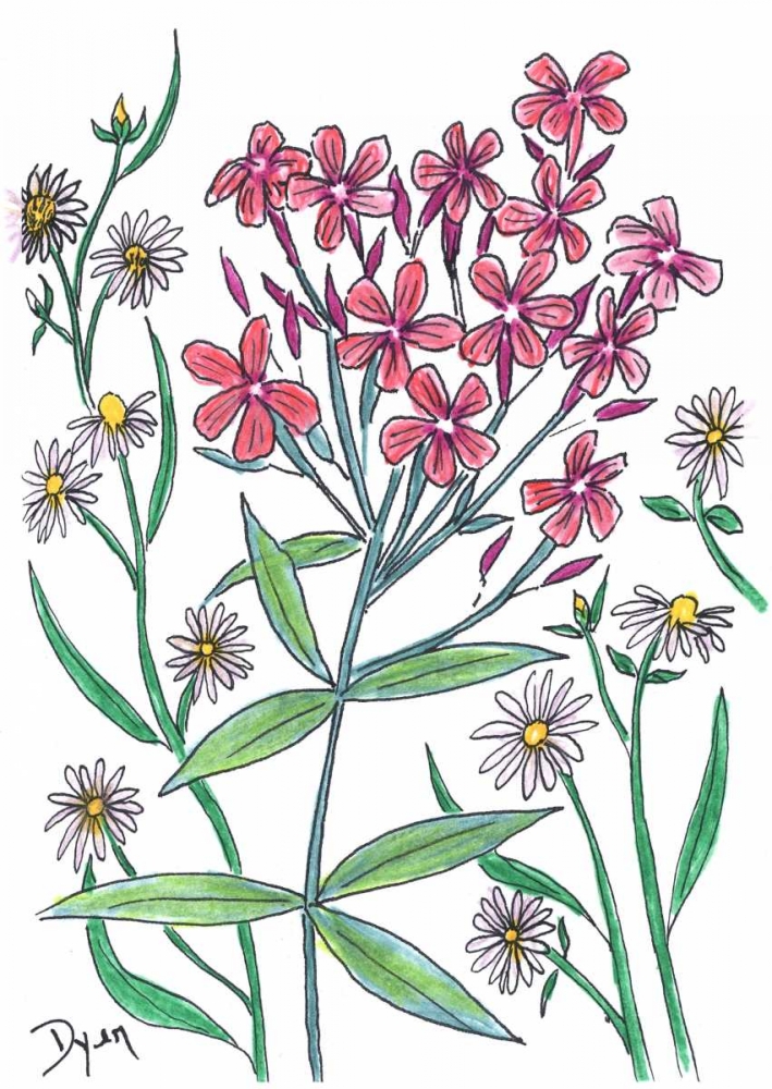 Summer Phlox art print by Beverly Dyer for $57.95 CAD