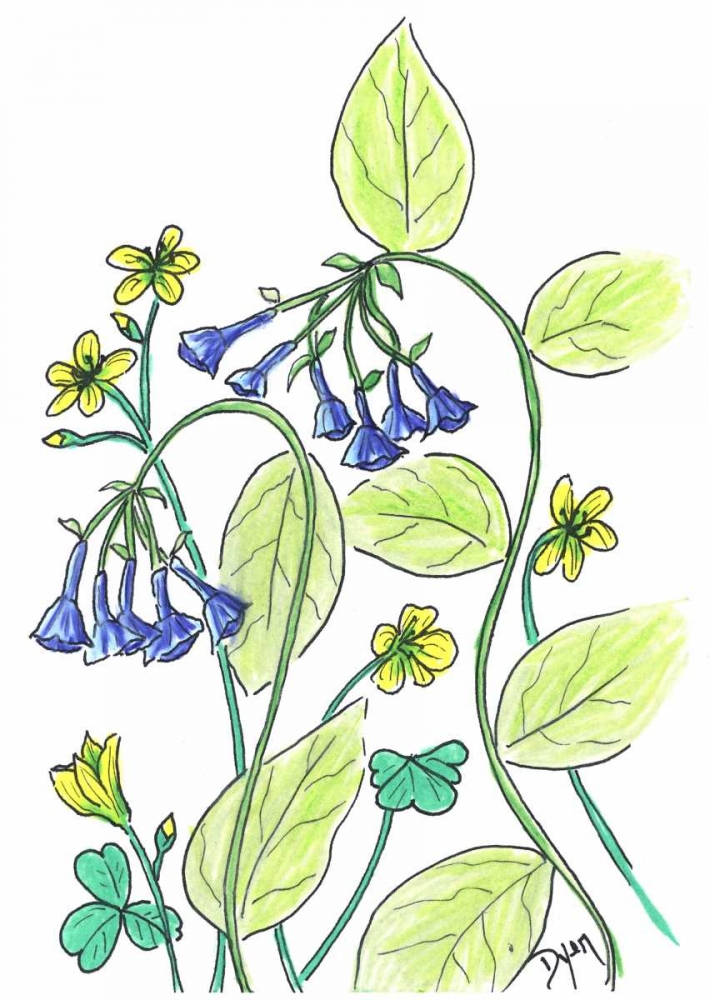 Virginia Bluebells art print by Beverly Dyer for $57.95 CAD