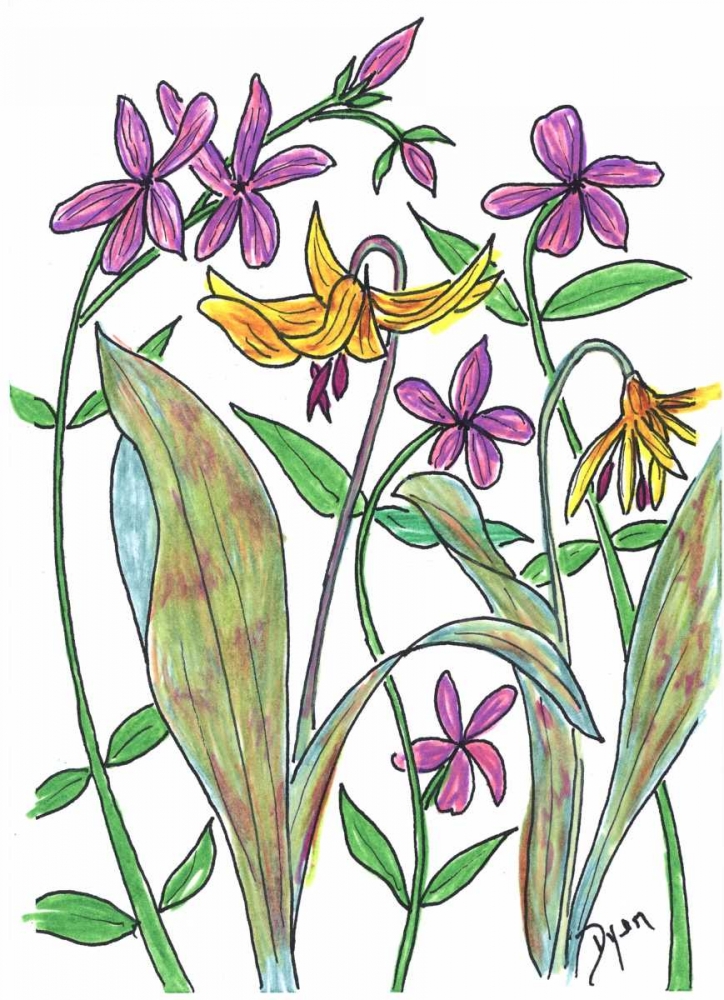 Wild Blue Phlox art print by Beverly Dyer for $57.95 CAD