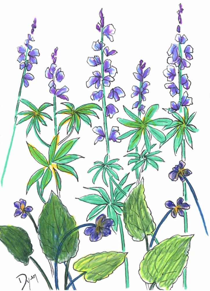 Wild Lupine art print by Beverly Dyer for $57.95 CAD