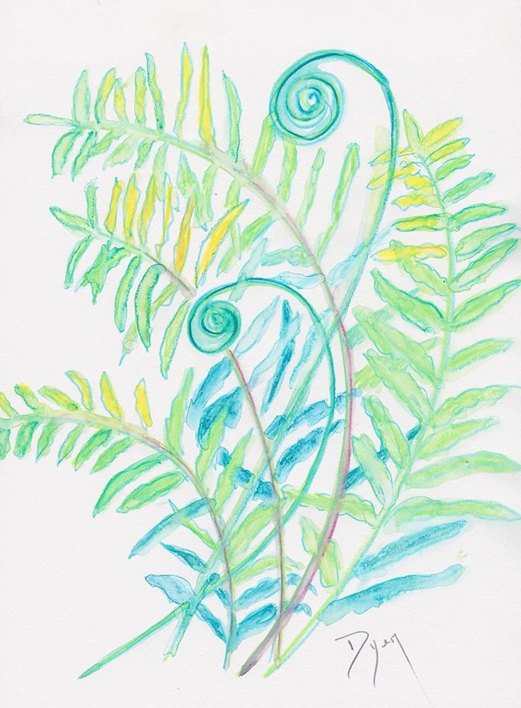Floral Fern II art print by Beverly Dyer for $57.95 CAD