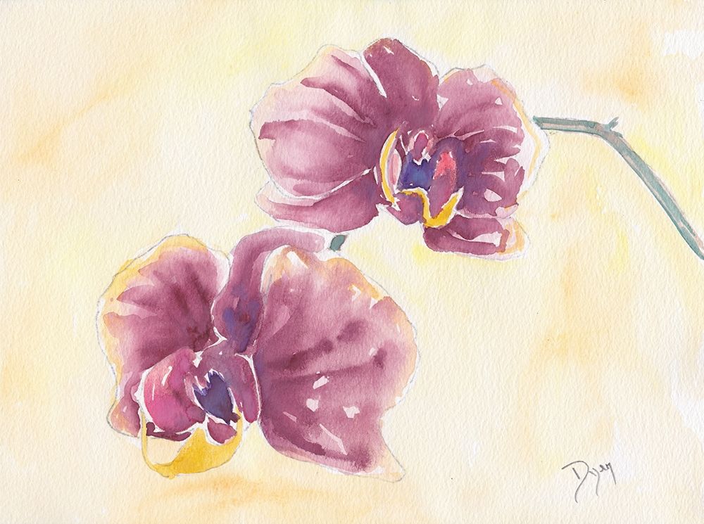 Graceful Orchid art print by Beverly Dyer for $57.95 CAD