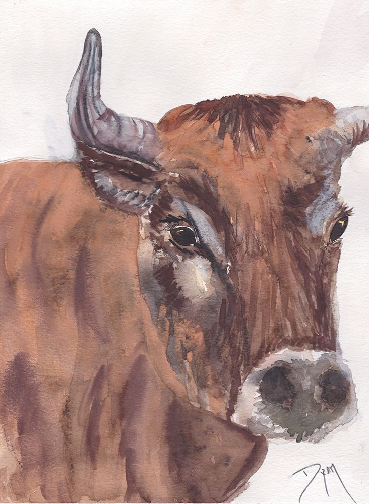 Fryer the Ox art print by Beverly Dyer for $57.95 CAD