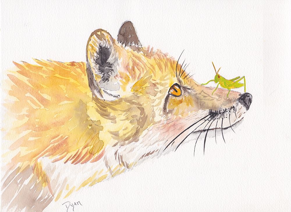 Golden Fox Play art print by Beverly Dyer for $57.95 CAD