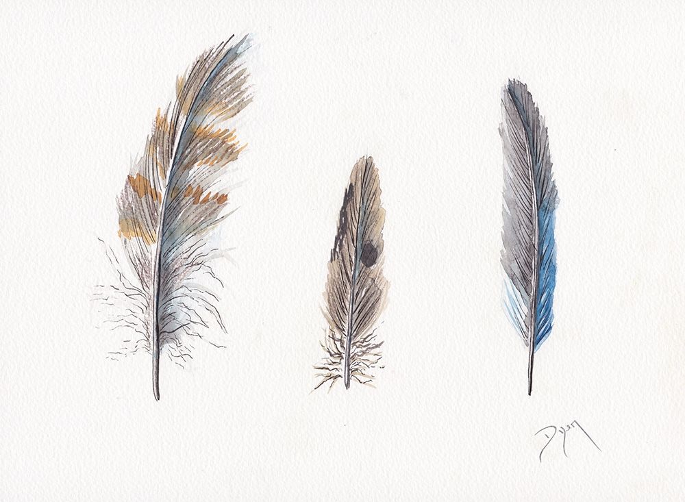 Feather Collection art print by Beverly Dyer for $57.95 CAD