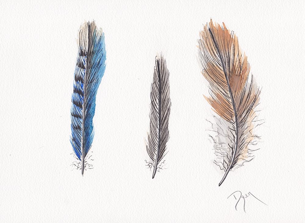 Feather Collection II art print by Beverly Dyer for $57.95 CAD