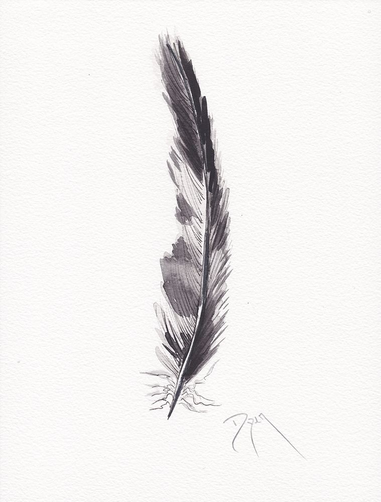 Feathers Black and White art print by Beverly Dyer for $57.95 CAD