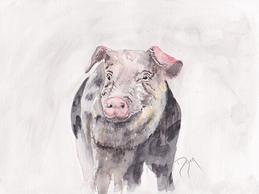 Pig art print by Beverly Dyer for $57.95 CAD