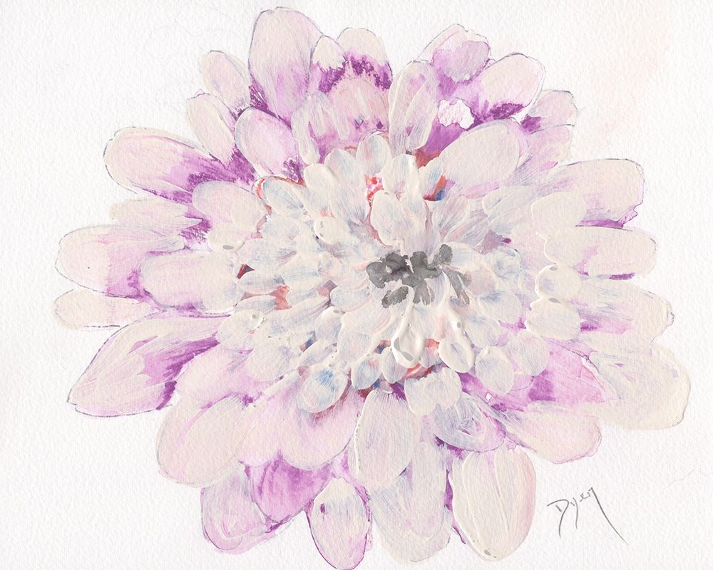 Pale Zinnia 2020 art print by Beverly Dyer for $57.95 CAD