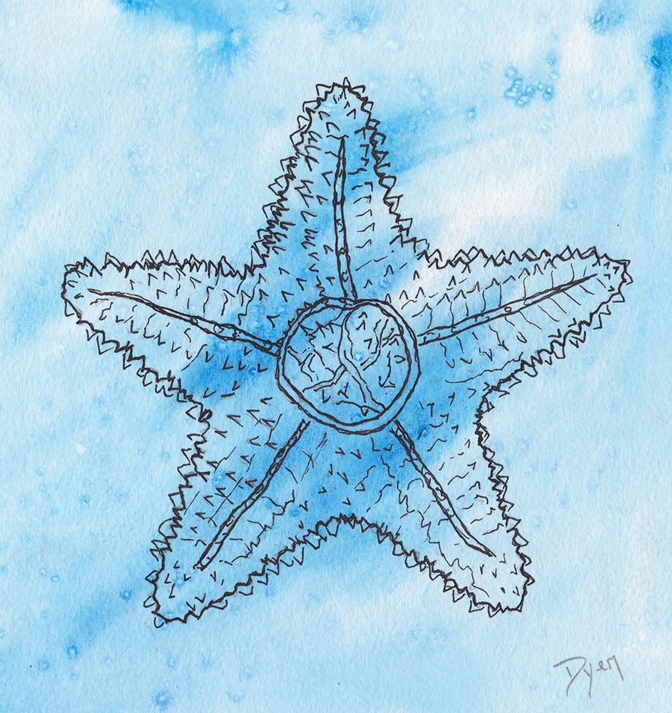Coastal Starfish art print by Beverly Dyer for $57.95 CAD