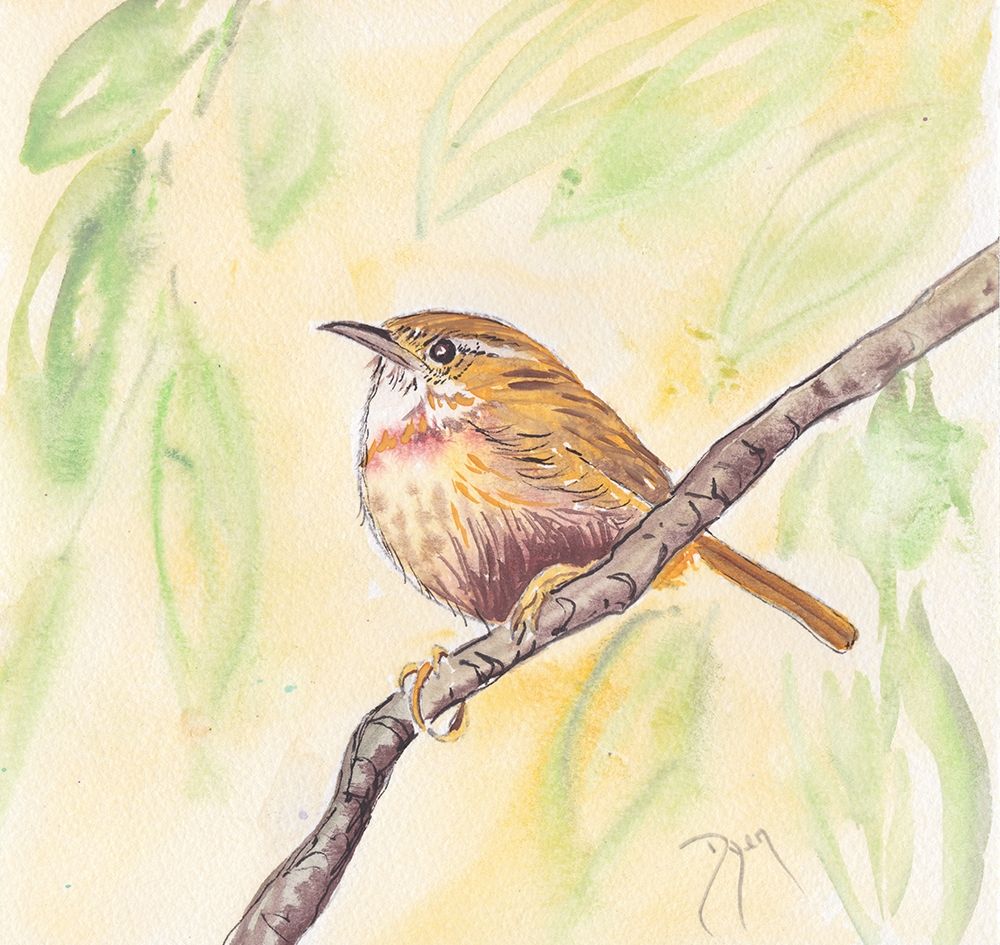 Sunny Wren art print by Beverly Dyer for $57.95 CAD