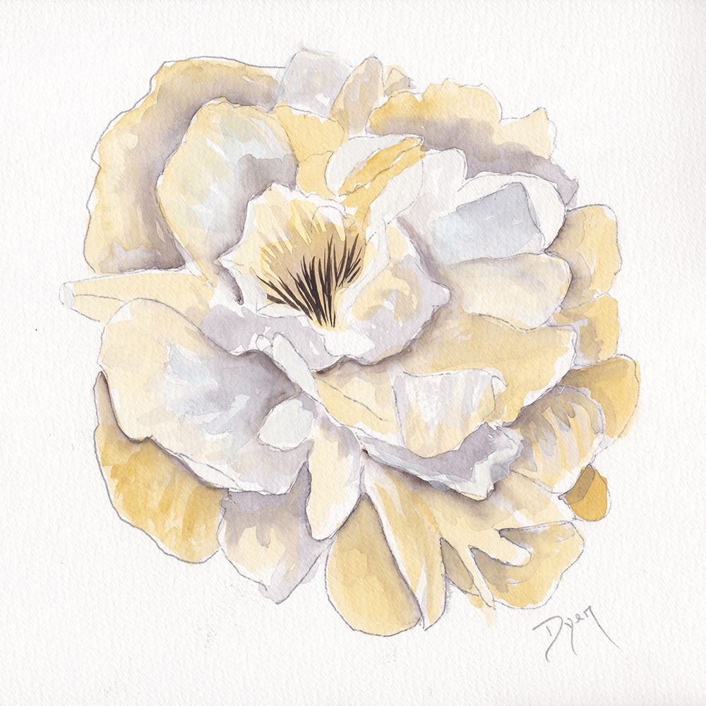 Backyard Peony I art print by Beverly Dyer for $57.95 CAD