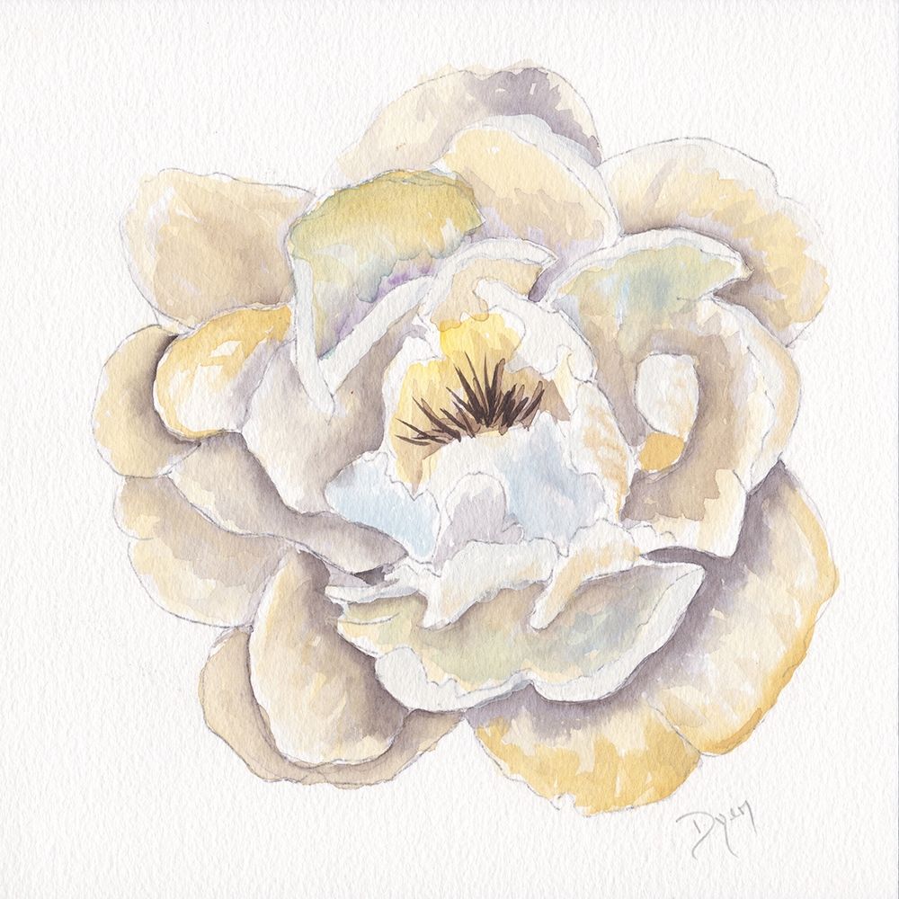 Backyard Peony II art print by Beverly Dyer for $57.95 CAD