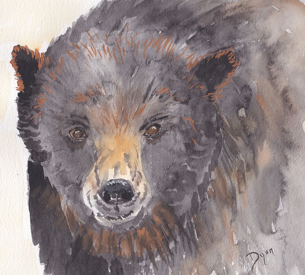 Brown Bear art print by Beverly Dyer for $57.95 CAD