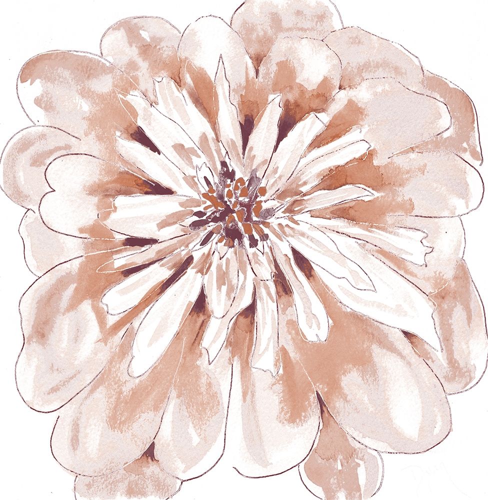 Blush Peony art print by Beverly Dyer for $57.95 CAD