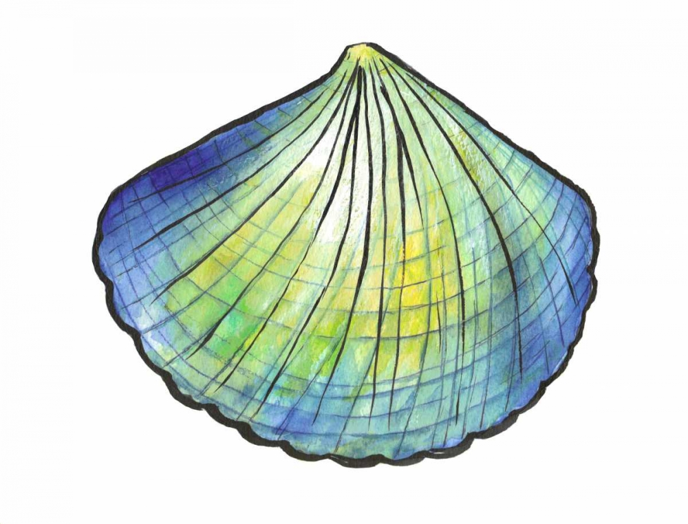 Underwater Shell 1 art print by Beverly Dyer for $57.95 CAD