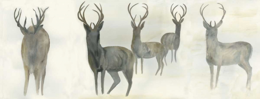Wild Family art print by Beverly Dyer for $57.95 CAD