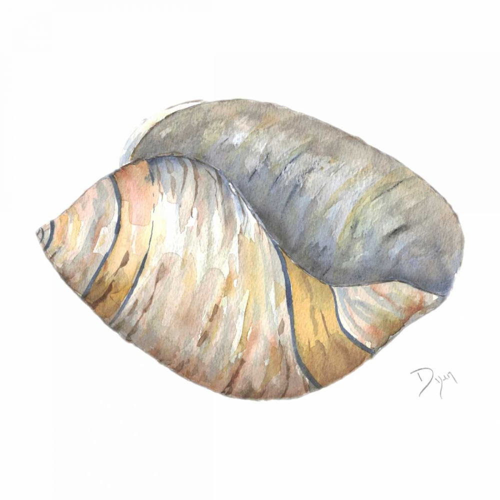Sea Shell Neutral 1 art print by Beverly Dyer for $57.95 CAD
