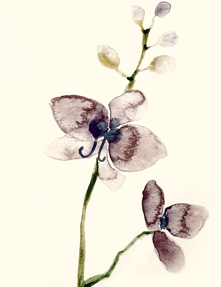 Dark Orchid 1 art print by Boho Hue Studio for $57.95 CAD