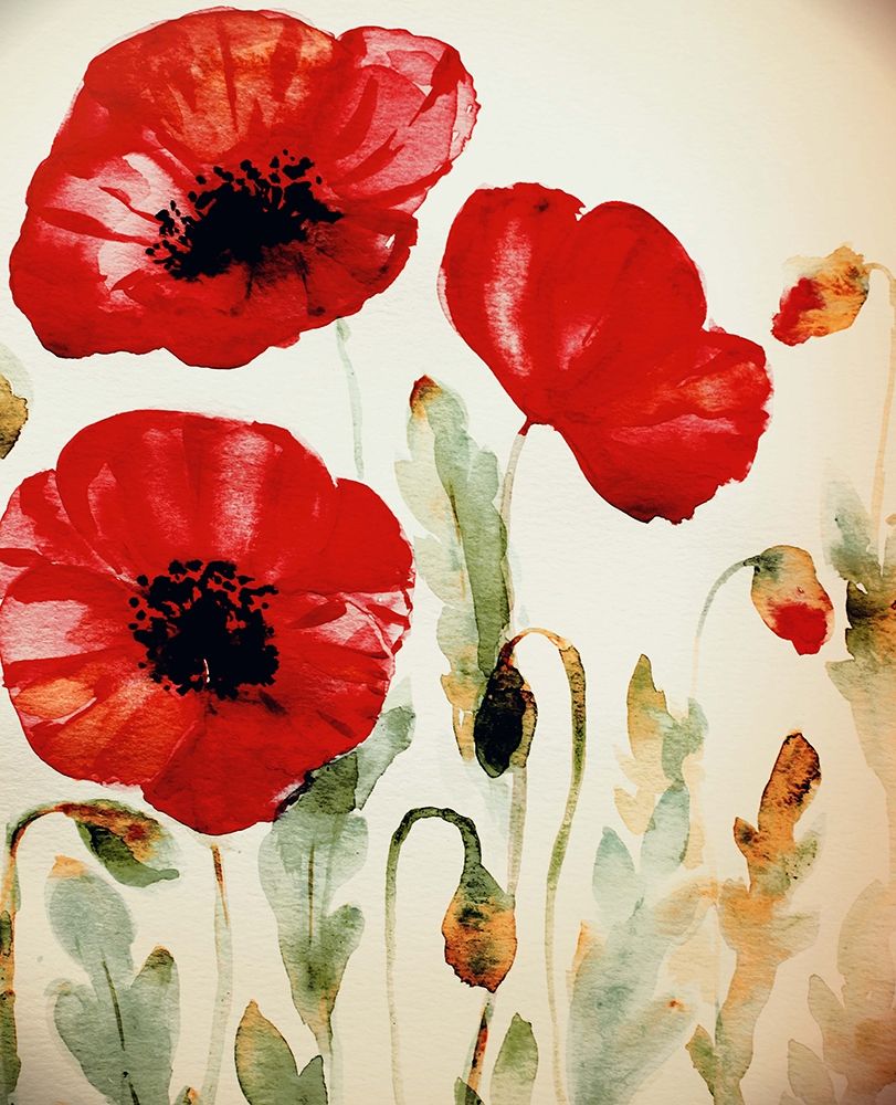 Lipstick Poppies art print by Boho Hue Studio for $57.95 CAD