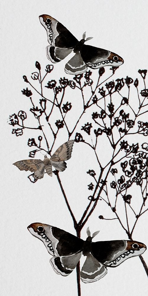 Dark Butterflys 1 art print by Boho Hue Studio for $57.95 CAD