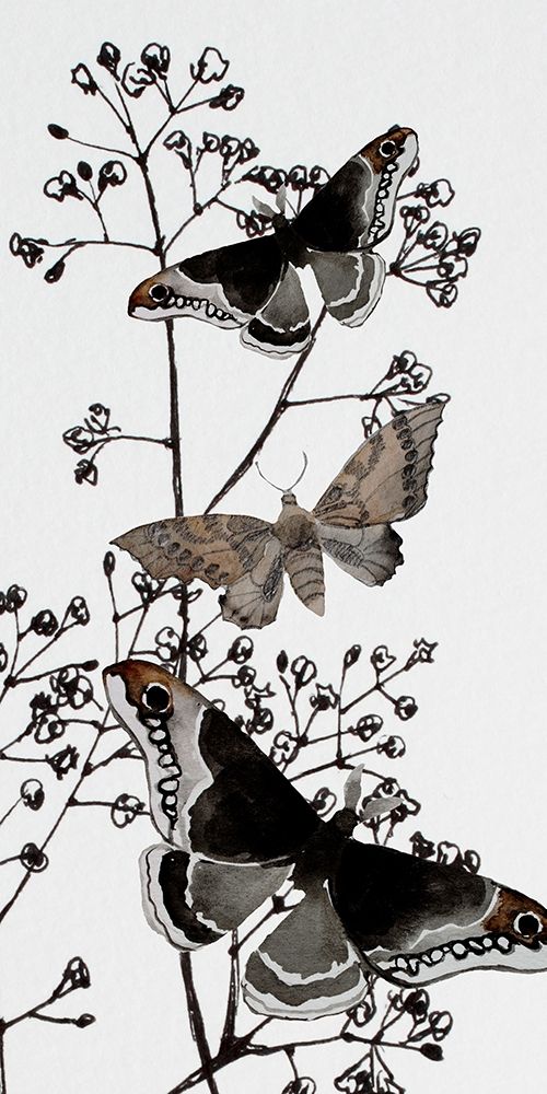 Dark Butterflys 2 art print by Boho Hue Studio for $57.95 CAD
