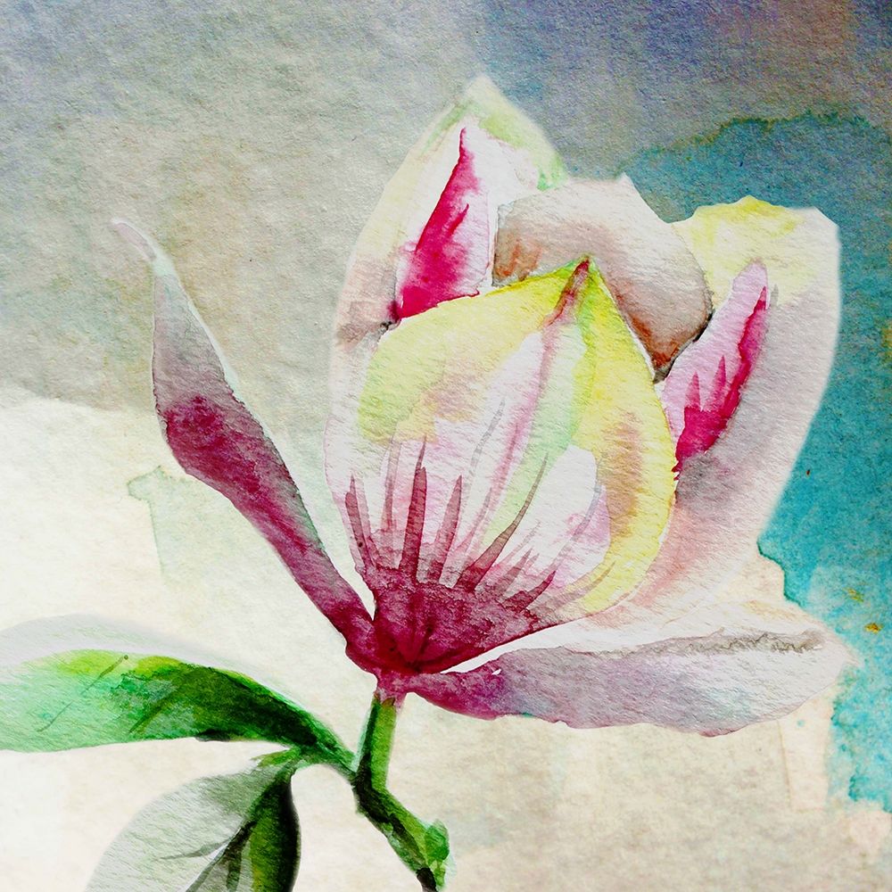 Rising Magnolia art print by Boho Hue Studio for $57.95 CAD