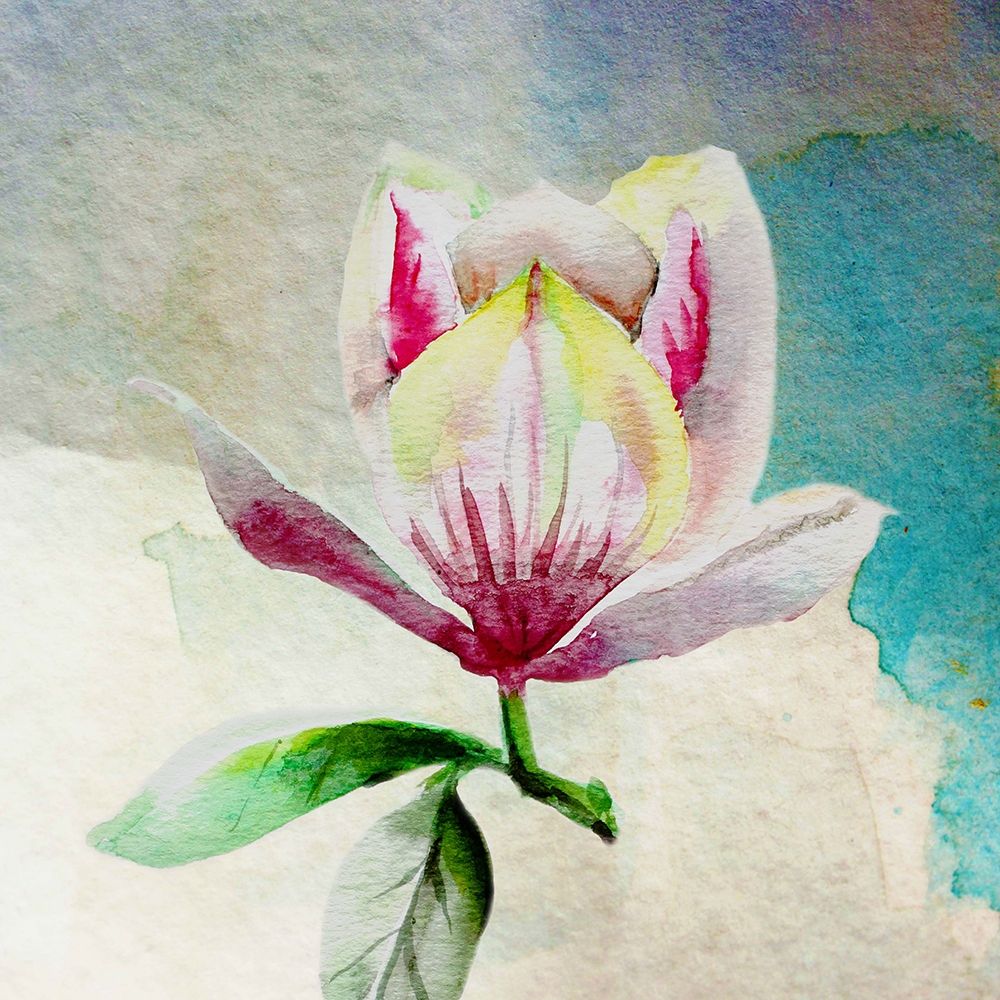 Solitary Magnolia art print by Boho Hue Studio for $57.95 CAD