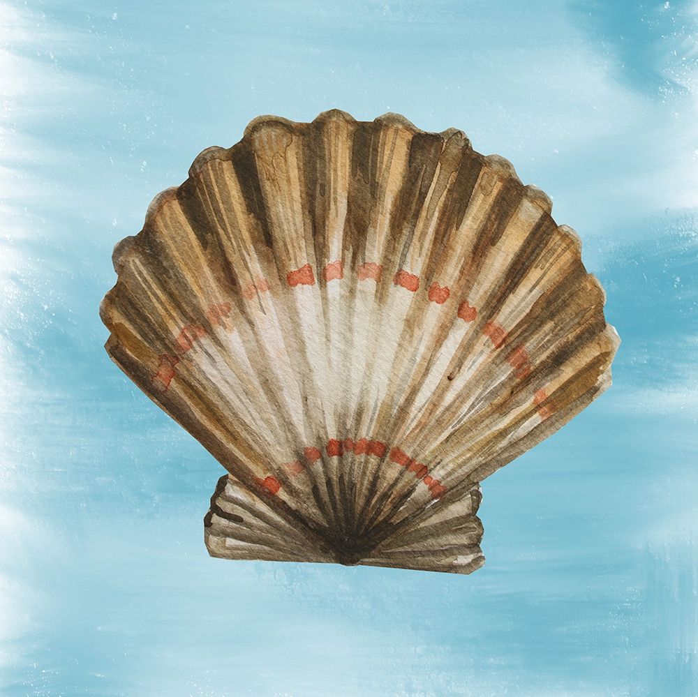 Shell 2 art print by Boho Hue Studio for $57.95 CAD